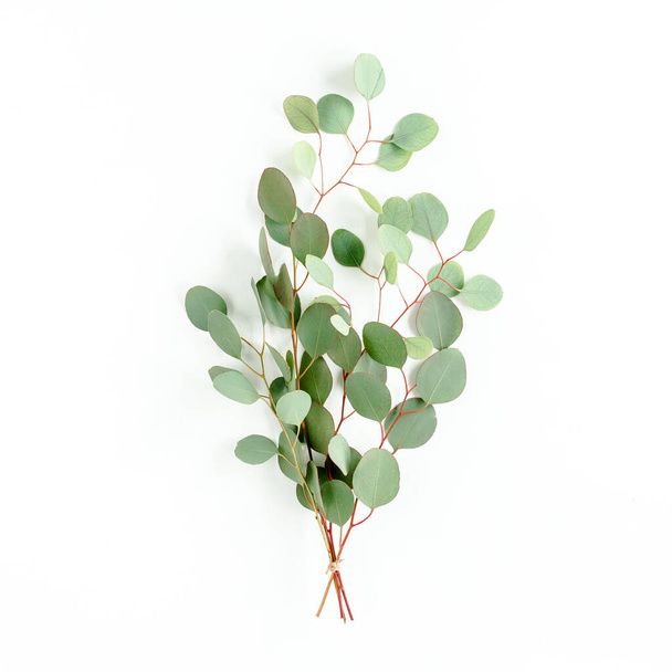 Eucalyptus bouquet on a white background. Flat lay, top view. - Photo, image