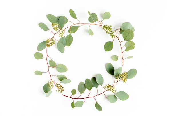 Wreath frame made of branches eucalyptus isolated on white background. lay flat, top  - Photo, Image