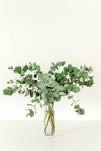 A bunch of twigs green eucalyptus in a glass jar on the table. - Foto, imagen