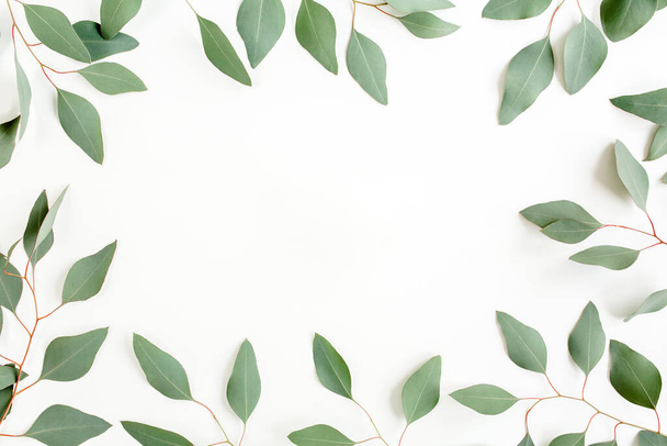 Frame made of green leaves eucalyptus populus isolated on white background with empty space for text. Flat lay, top view - Fotó, kép