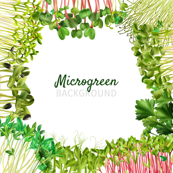 Healthy Nutrition Microgreens Frame - Vector, Image