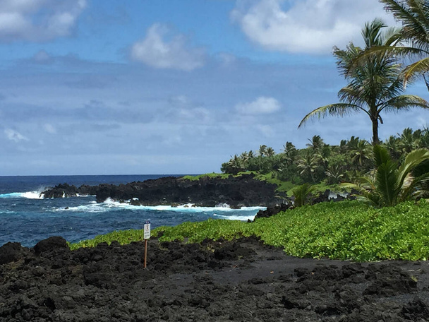 Фотографія пляжу з чорного піску, обрамленого зеленими рослинами з видом на бірюзовий тихий на Гаваях
 - Фото, зображення