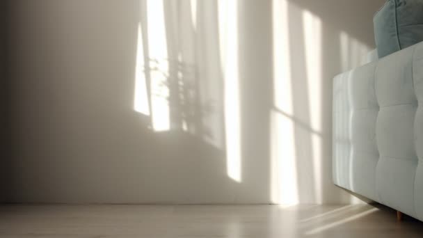 Sol de la mañana iluminando la habitación, superposiciones de fondo de sombra. Ondeando tul blanco cerca de la ventana. - Metraje, vídeo