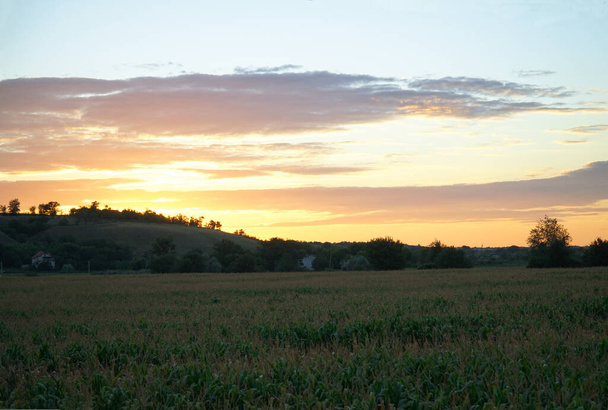 Zachód słońca nad polami na wsi - Zdjęcie, obraz