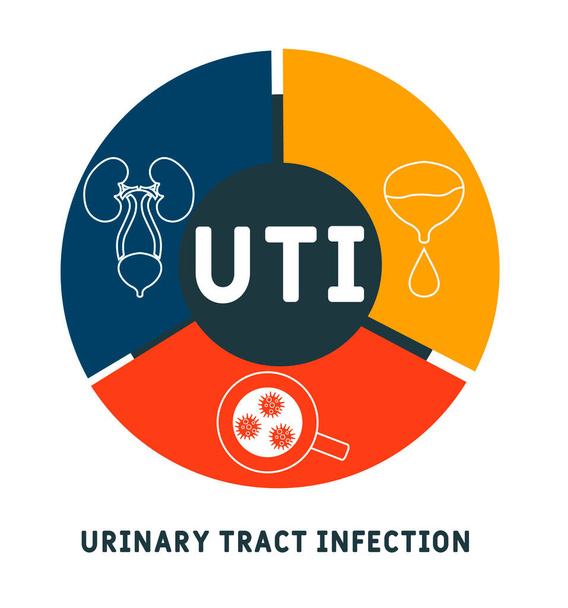 UTI -  urinary tract infection acronym, medical concept background. vector illustration concept with keywords and icons. lettering illustration with icons for web banner, flyer, landing page - Vector, Image