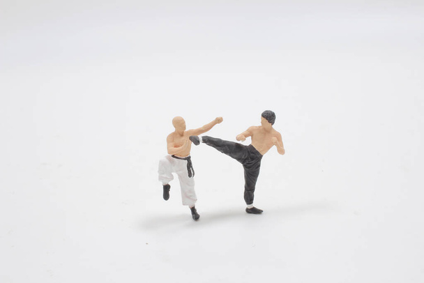 postać Kung Fu człowieka przygotować się do walki - Zdjęcie, obraz
