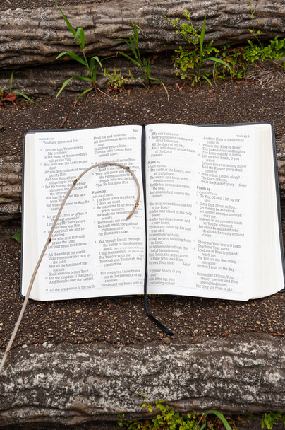 Holy Bible open with small staff on top. Highlighting Psalm 23. Outdoors on stair step. Copy space. Vertical shot. - Photo, Image