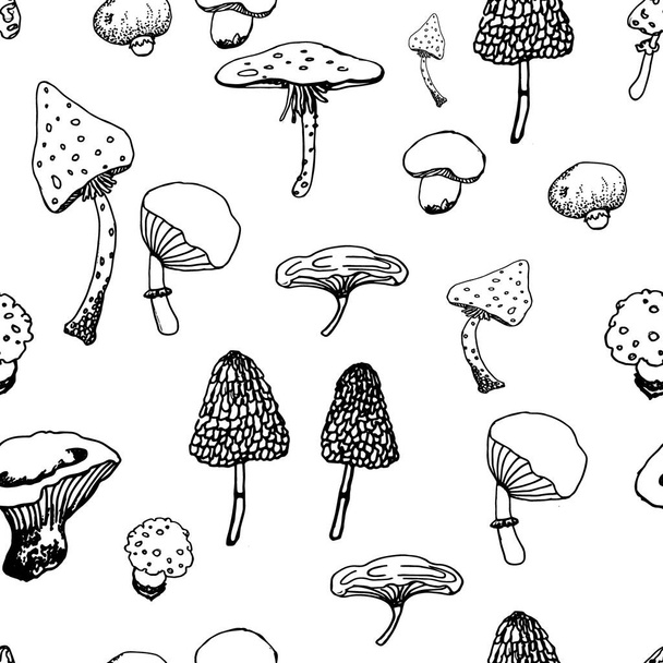  Black and white image of mushrooms. Seamless pattern. Design for textiles, wallpaper, wrapping paper, packaging. - Vetor, Imagem