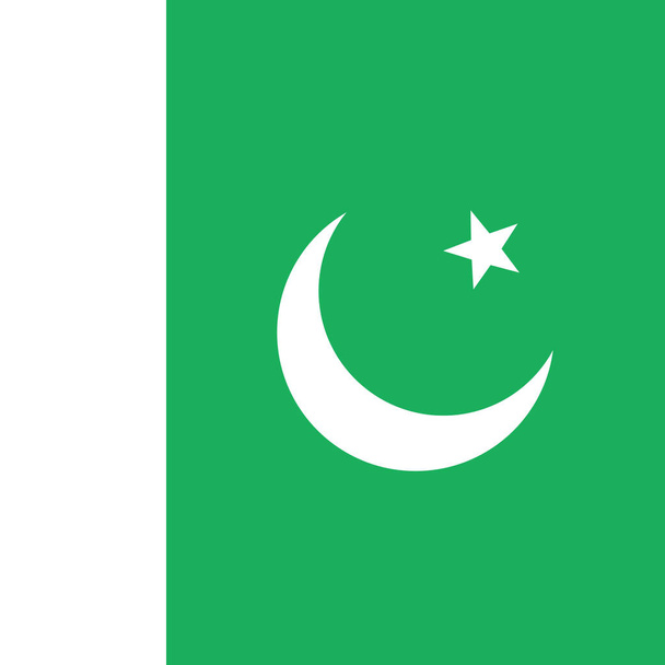 Vlajka pákistánské ploché ikony, vektorová ilustrace - Vektor, obrázek