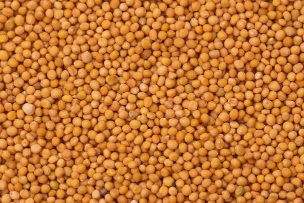 Mustard seeds - Φωτογραφία, εικόνα