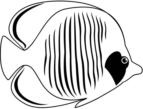 icona piatta di pesce farfalla dorata, illustrazione vettoriale - Vettoriali, immagini