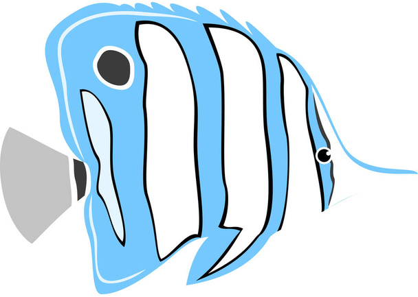 Cobre banda mariposa marina icono de pescado, vector de ilustración - Vector, imagen