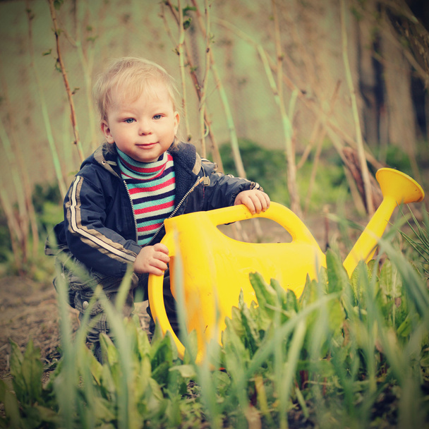 Boy watering sprout - Foto, afbeelding
