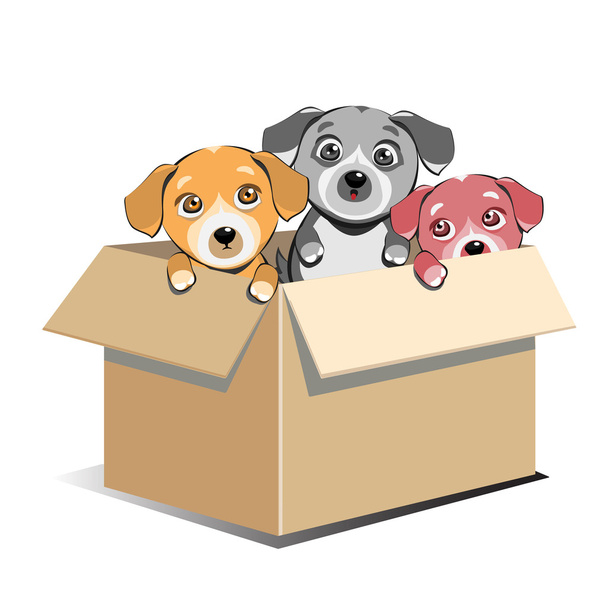 Adopción de cachorros abandonados en caja
 - Vector, imagen