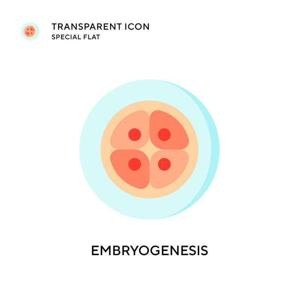 Embriyogenez vektör simgesi. Düz çizim. EPS 10 vektörü. - Vektör, Görsel