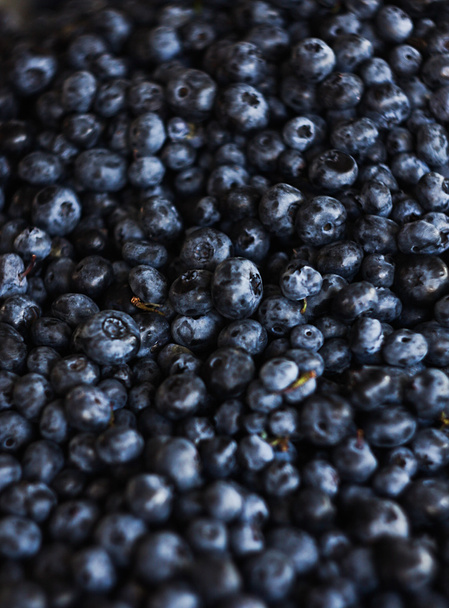 Freshly picked blueberries - Фото, зображення