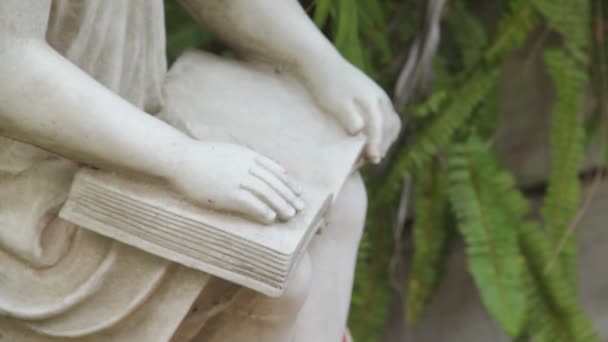 Girl Reading Statue - Felvétel, videó