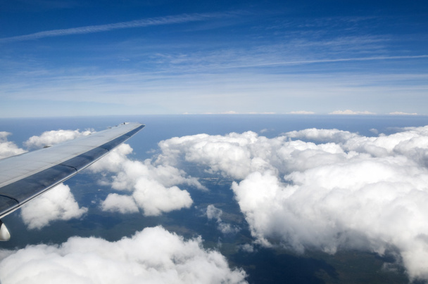 Lecące wysoko - Zdjęcie, obraz