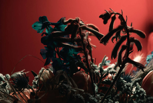 silhouette flowers isolated on red background. Floral arrangement, bouquet of garden flowers.  - Φωτογραφία, εικόνα