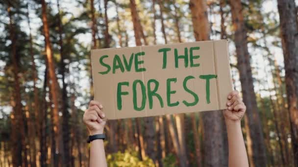 Ręce trzymać kartonowy plakat z wiadomością Zapisz lasu - Materiał filmowy, wideo