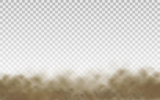 Flying sand, dust.  - Vector, Image