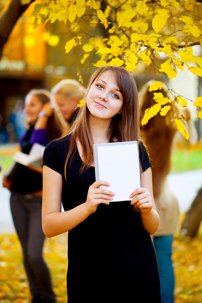 Many students in the autumn park - Foto, Imagen