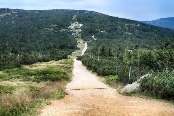 Tourist trail in the Giant Mountains, near Szrenica (1362 m above sea level). Hiking trail on the border between Poland and the Czech Republic. - Foto, Imagen