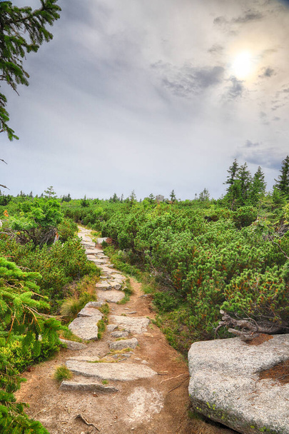 Tourist trail in the Giant Mountains, near Szrenica (1362 m above sea level). Hiking trail on the border between Poland and the Czech Republic. - Φωτογραφία, εικόνα
