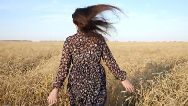 Elbiseli esmer kadın olgunlaşmış buğday tarlasında koşuyor. - Video, Çekim