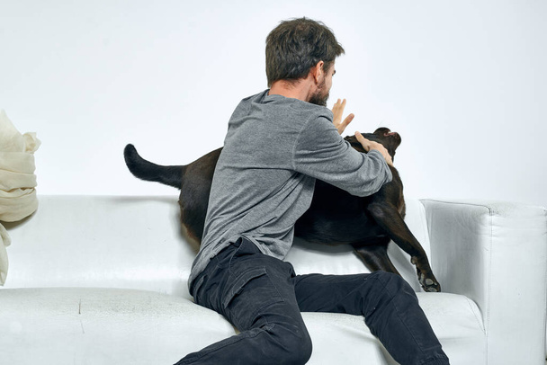 Homem e cão felizes no sofá Em um animal de estimação sala brilhante é um amigo do homem - Foto, Imagem
