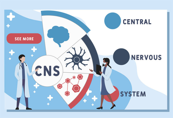 ベクトルウェブサイトデザインテンプレート。CNS -中枢神経系,頭字語医学の概念.ウェブサイトのバナー、マーケティング資料、ビジネスプレゼンテーション、オンライン広告のイラスト. - ベクター画像