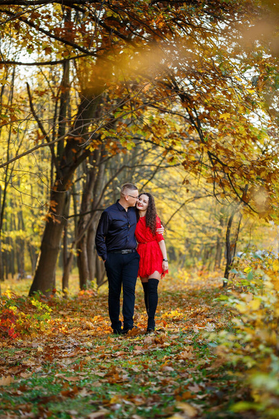 Hermosa pareja en el bosque de otoño - Foto, Imagen
