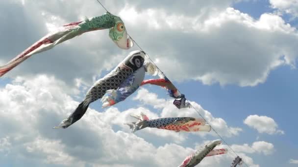 Carp Streamers (Japanese Koinobori) Foukání ve větru - Záběry, video