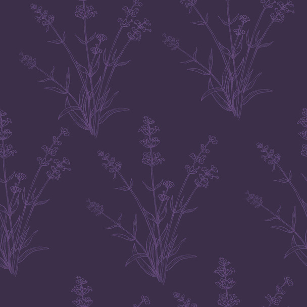 Seamless Pattern with Pencil Drawn Lavender Herb - Vektör, Görsel