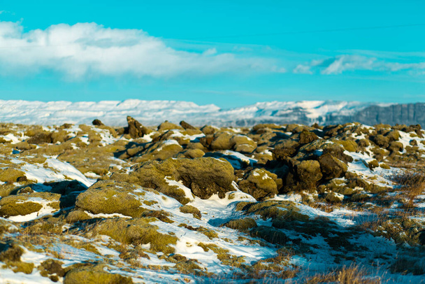 Winter landscape in Iceland. A field of solidified lava covered with moss is covered with snow - Foto, imagen
