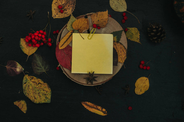 herfst compositie op een donkere achtergrond, gezellige sfeer - Foto, afbeelding