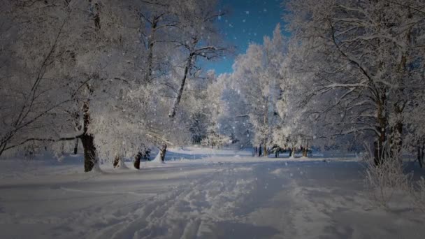 Lichte sneeuw valt tijdens een anders zware dag met blauwe luchten. - Video