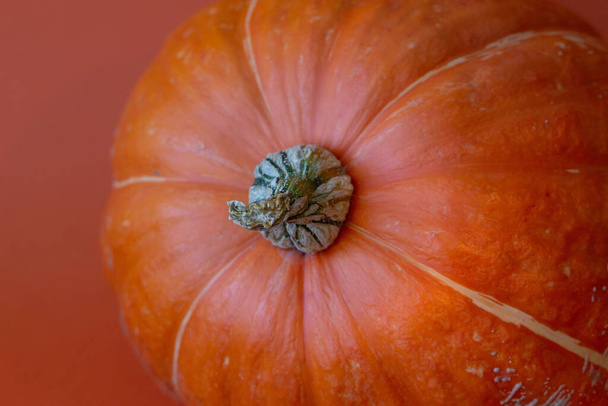 Close-up (macro shoot) of a pumpkin fragment on an orange background  - Foto, Imagem