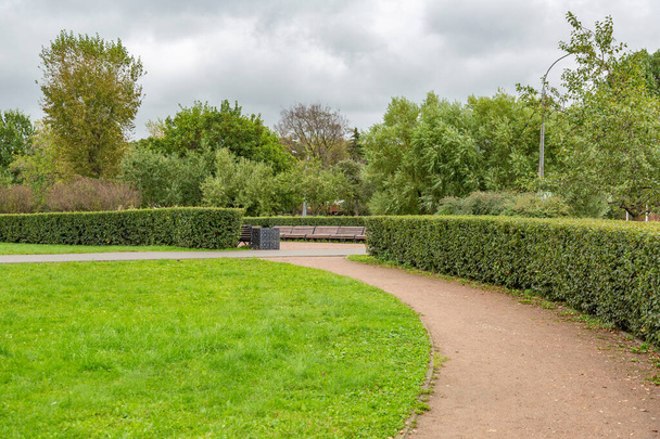 Een pad voor voetgangers om overdag in een modern groen stadspark te wandelen - Foto, afbeelding
