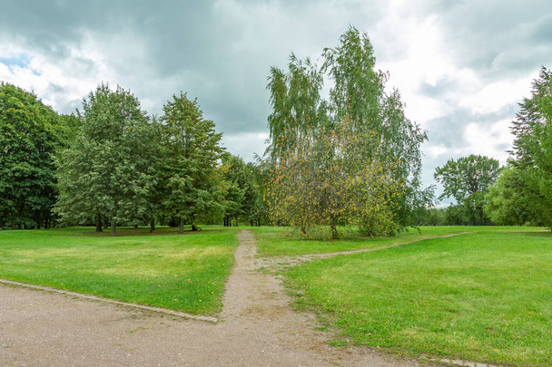 Een pad voor voetgangers om overdag in een modern groen stadspark te wandelen - Foto, afbeelding