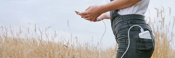 Panoramic web banner Power bank in the back pocket of a girl in a yellow field charges the phone, against the background of ears of wheat and sky, rear view of a young beautiful woman. - Photo, image