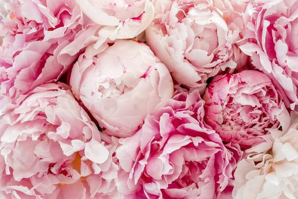 Bouquet of a lot of peonies of pink color close up. Flat lay, top view. Peony flower texture. - Foto, immagini