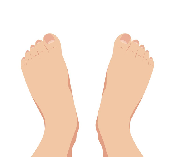 Vettore del piede femminile in piedi piede umano
 - Vettoriali, immagini