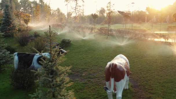 Автоматична система поливу зрошує газонну траву та інші рослини в парку на світанку. Сонячні промені прориваються крізь гілки дерев
. - Кадри, відео