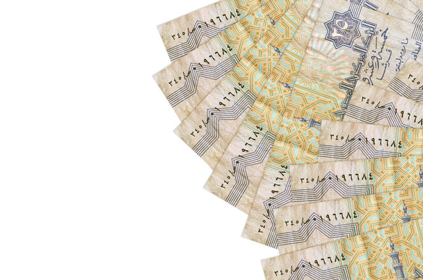 25 египетских пиастров законопроекты лежат изолированы на белом фоне с копировальным пространством. Богатый жизненный концептуальный фон. Большая сумма национального валютного богатства - Фото, изображение
