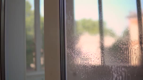 Puhdistus ikkuna ruiskutetaan neste puhdistusaineet, siivota nainen lähikuva - Materiaali, video