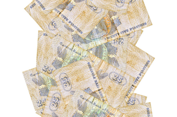 25 египетских пиастров векселей летят изолированными по белому. Многие банкноты падают с белой копией пространства слева и справа - Фото, изображение