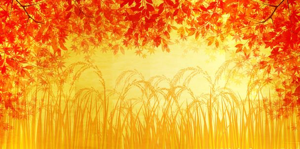 Rice rice autumn watercolor background - Vector, Image