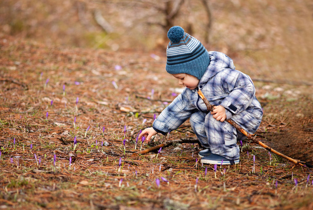 Picking first spring flowers - Foto, Bild