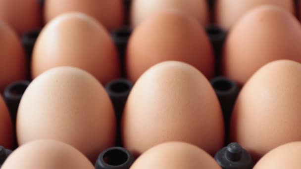 Kamyon Vurulmuş Tavuk Yumurtası Çekmecede Yakınlaştırma Görünümünde - Video, Çekim